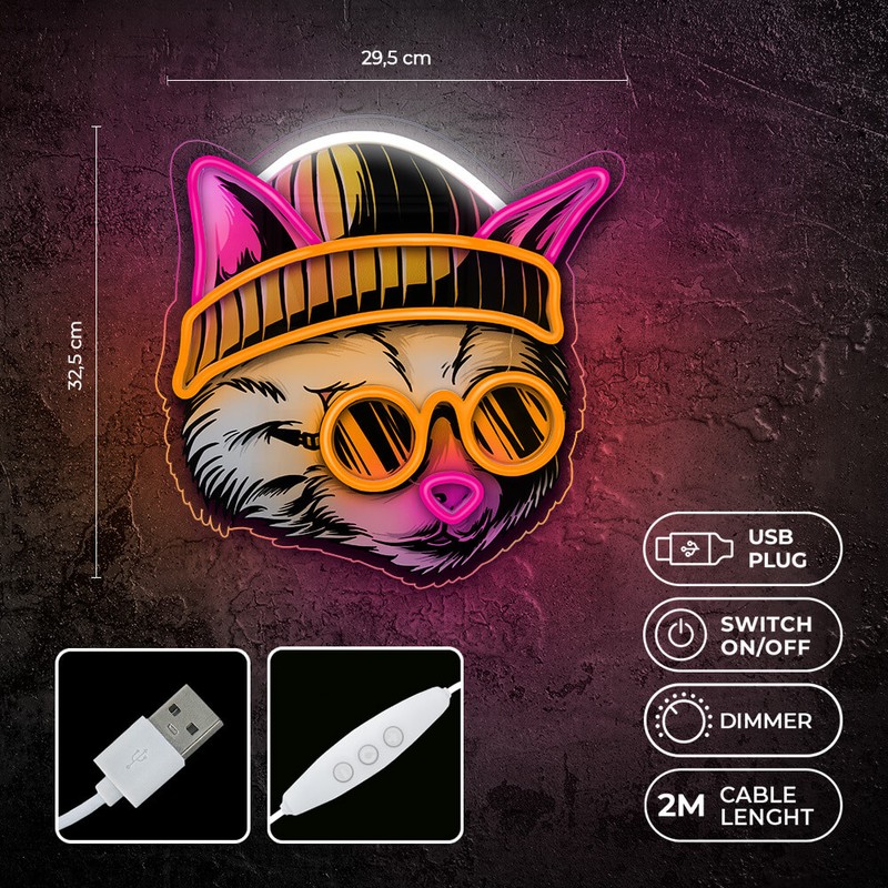 Neon LED Forever Light, Cat Dreamer, dimensiuni 295 x 18 x 325mm, cablu USB cu lungime 2m, multicolor