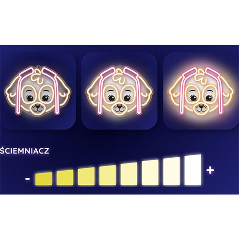 Neon LED pe plexiglas Psi Patrol, Paw Patrol Skye, dimensiuni 40 x 40 cm, cablu USB cu lungime 1.5m
