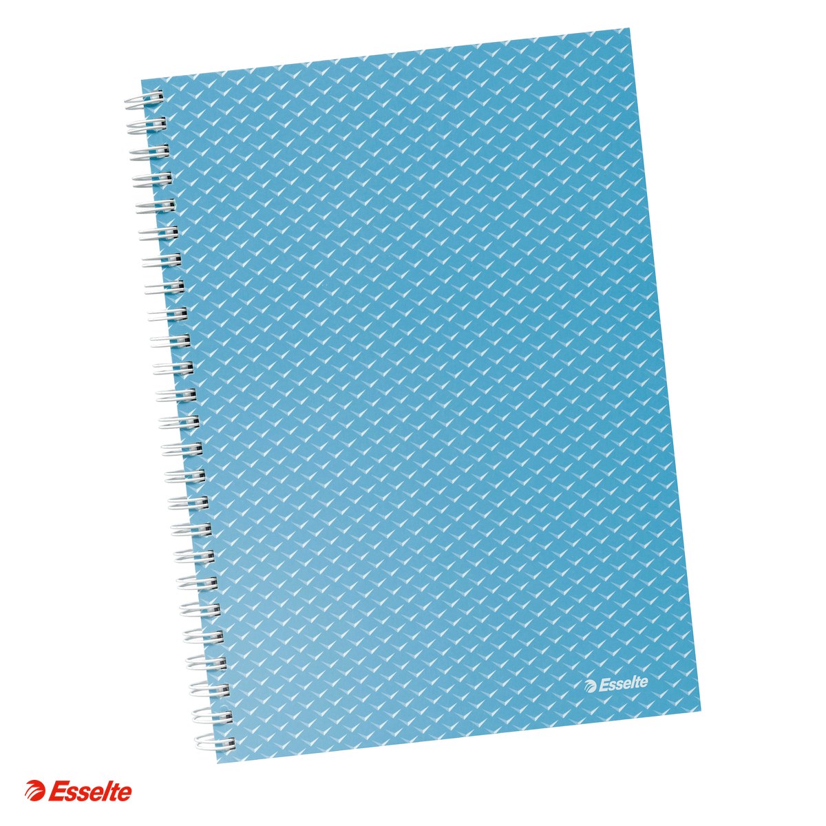 Liniatura Dictando (Linii) A5 - Caiet de birou Esselte Colour'Breeze, carton, A5, 80 coli, cu spira, dictando, pentru documente perforate, hartie 80 g/mp, albastru
