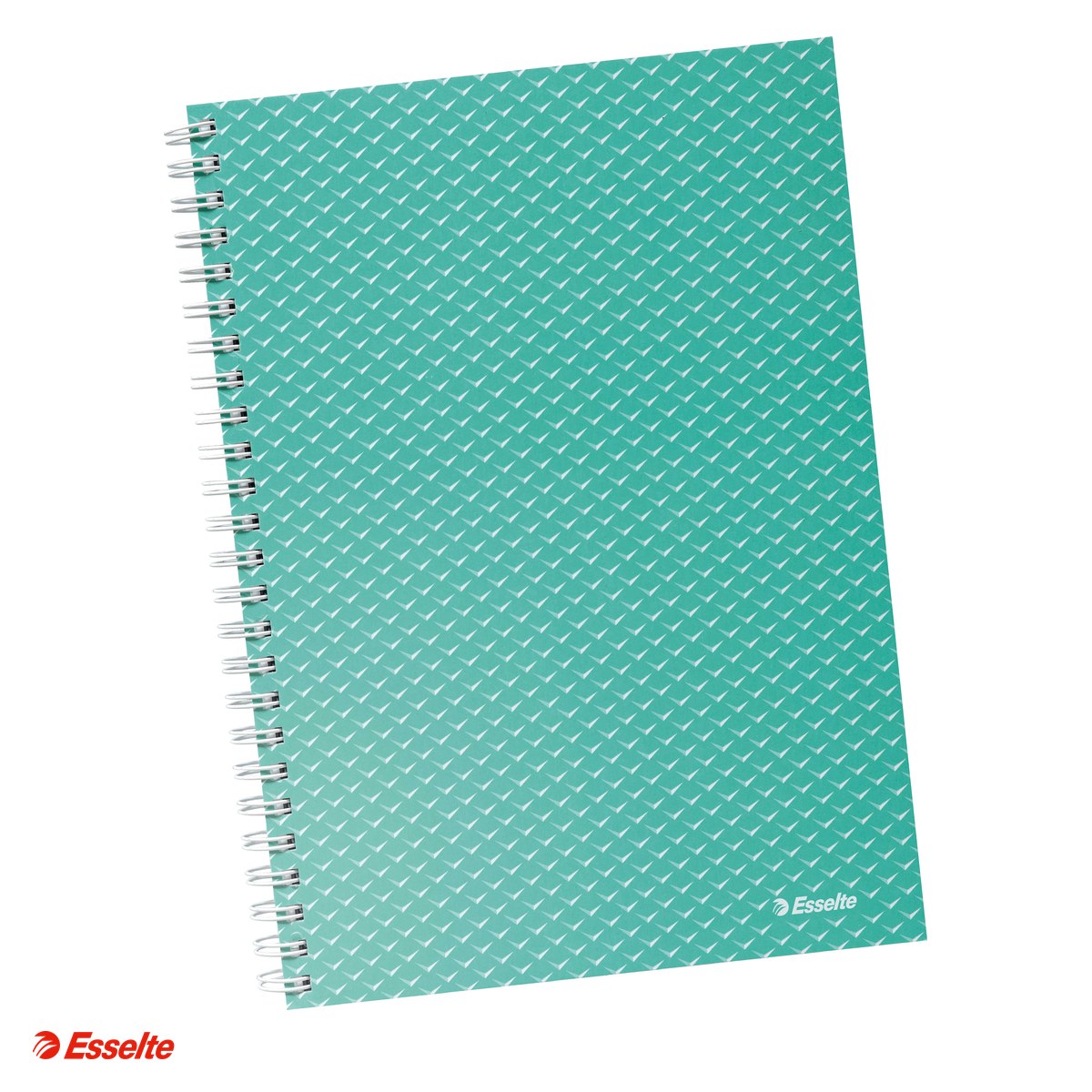 Liniatura Dictando (Linii) A5 - Caiet de birou Esselte Colour'Breeze, carton, A5, 80 coli, cu spira, dictando, pentru documente perforate, hartie 80 g/mp, verde