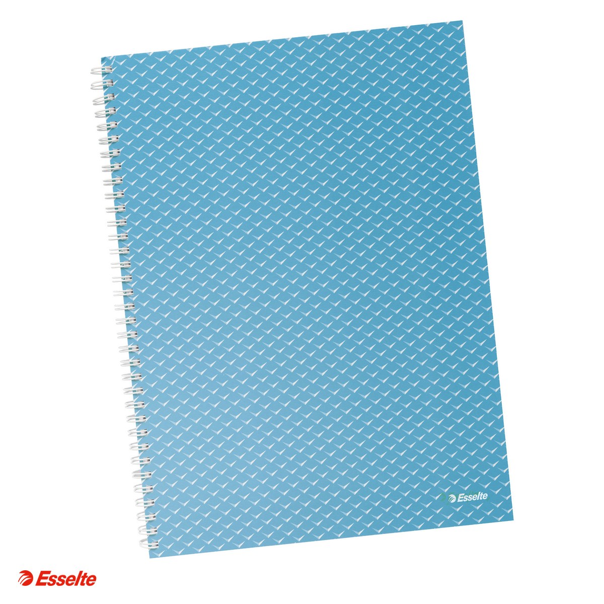 Liniatura Matematica (Patratele) A4 - Caiet de birou Esselte Colour'Breeze, carton, A4, 80 coli, cu spira, matematica, pentru documente perforate, hartie 80 g/mp, albastru
